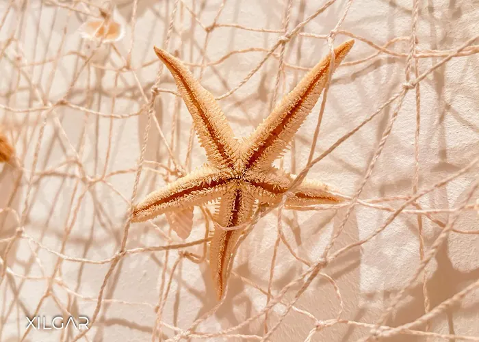 Xilgar Apto Outeiro *